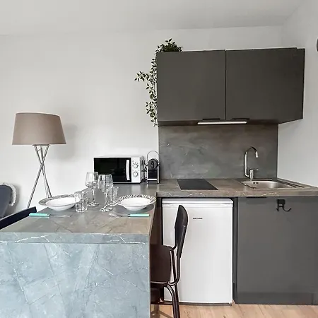 Apartman Ecrin Climatise Avec Terrasse & Jardin Prive Villeurbanne